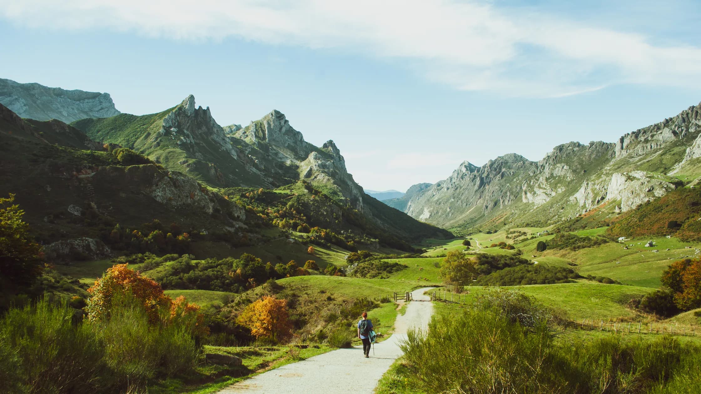 Sendero entre las montañas verdes de Asturias