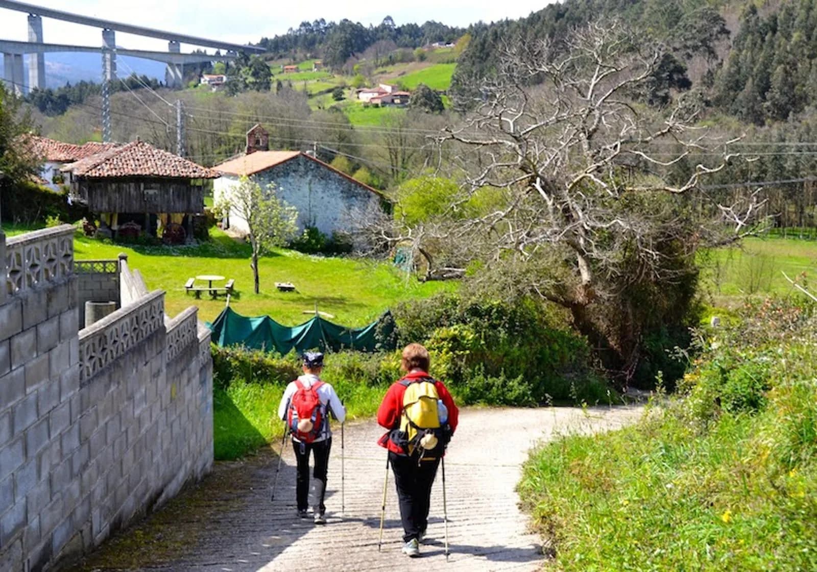 Finca La Campa en Villademar - Cudillero, imagen 5